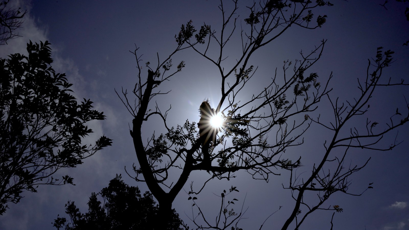 Joaquín Dingula silhouetted against the sun